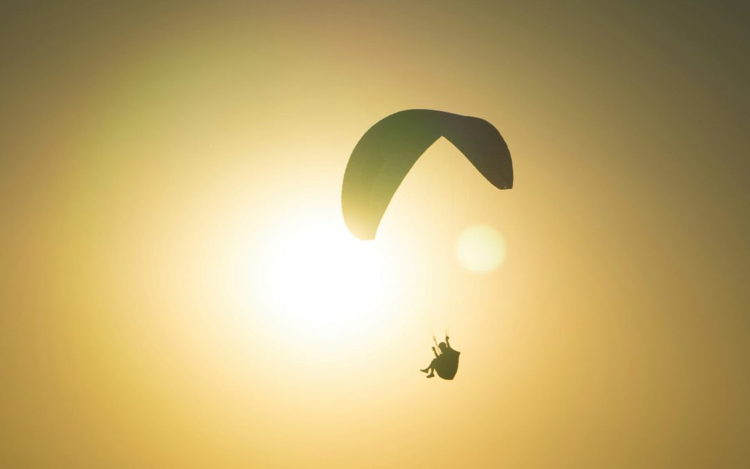 Bienvenue sur le blog Parazone